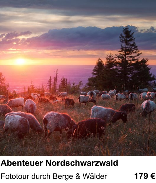 Technischer Foto-Workshop für Aufnahmen zu Abenteuer Nordschwarzwald: Fototour durch Berge & Wälder