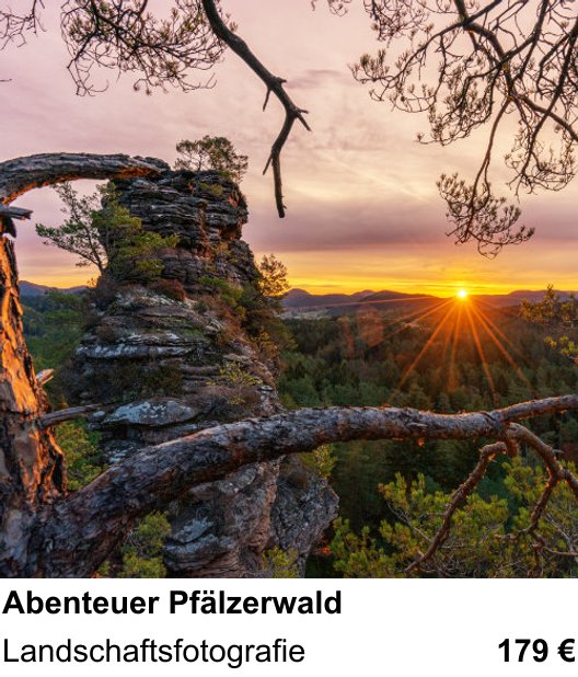Technischer Foto-Workshop für Aufnahmen zu Abenteuer Pfälzerwald: Landschaftsfotografie