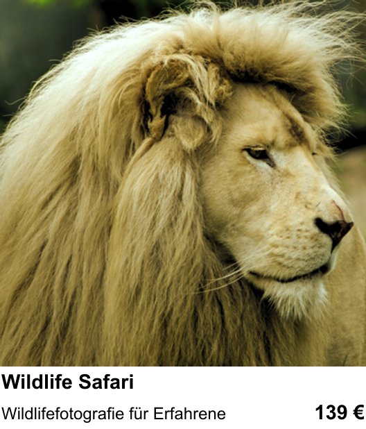 Fotografieren lernen in Darmstadt mit Wildlife Safari