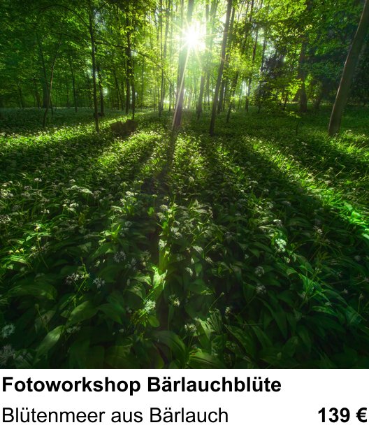 Technischer Foto-Workshop für Aufnahmen zu Fotoworkshop Bärlauchblüte: Blütenmeer aus Bärlauch