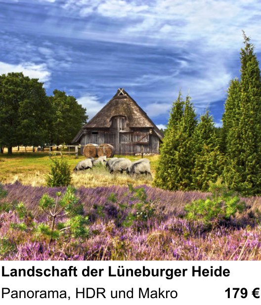 Technischer Foto-Workshop für Aufnahmen zu Landschaft der Lüneburger Heide: Panorama, HDR und Makro