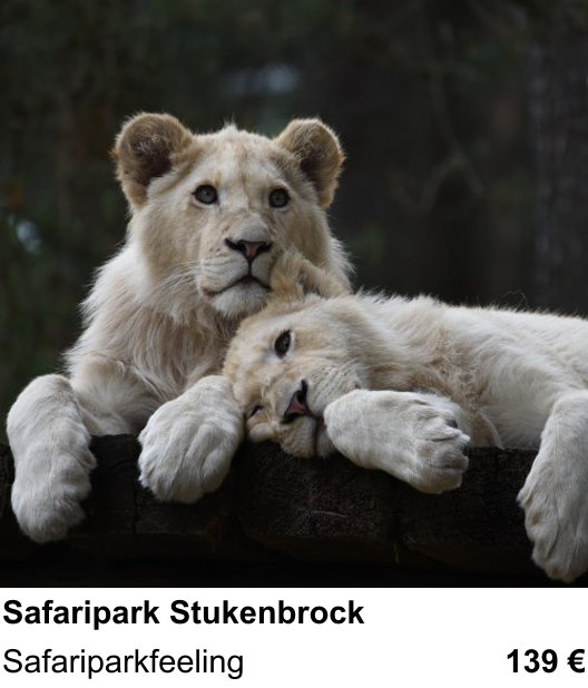 Technischer Foto-Workshop für Aufnahmen zu Safaripark Stukenbrock: Safariparkfeeling