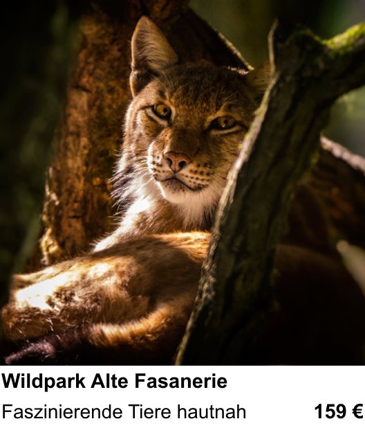 Technischer Foto-Workshop für Aufnahmen zu Wildpark Alte Fasanerie: Faszinierende Tiere hautnah