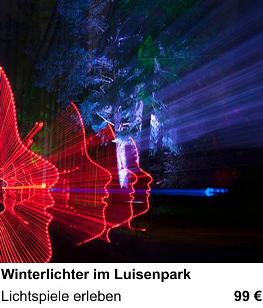 Technischer Foto-Workshop für Aufnahmen zu Winterlichter im Luisenpark: Lichtspiele erleben