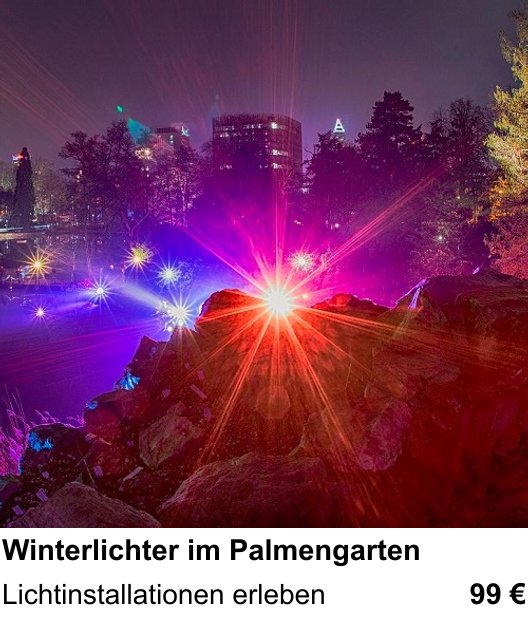 Technischer Foto-Workshop für Aufnahmen zu Winterlichter im Palmengarten: Lichtinstallationen erleben