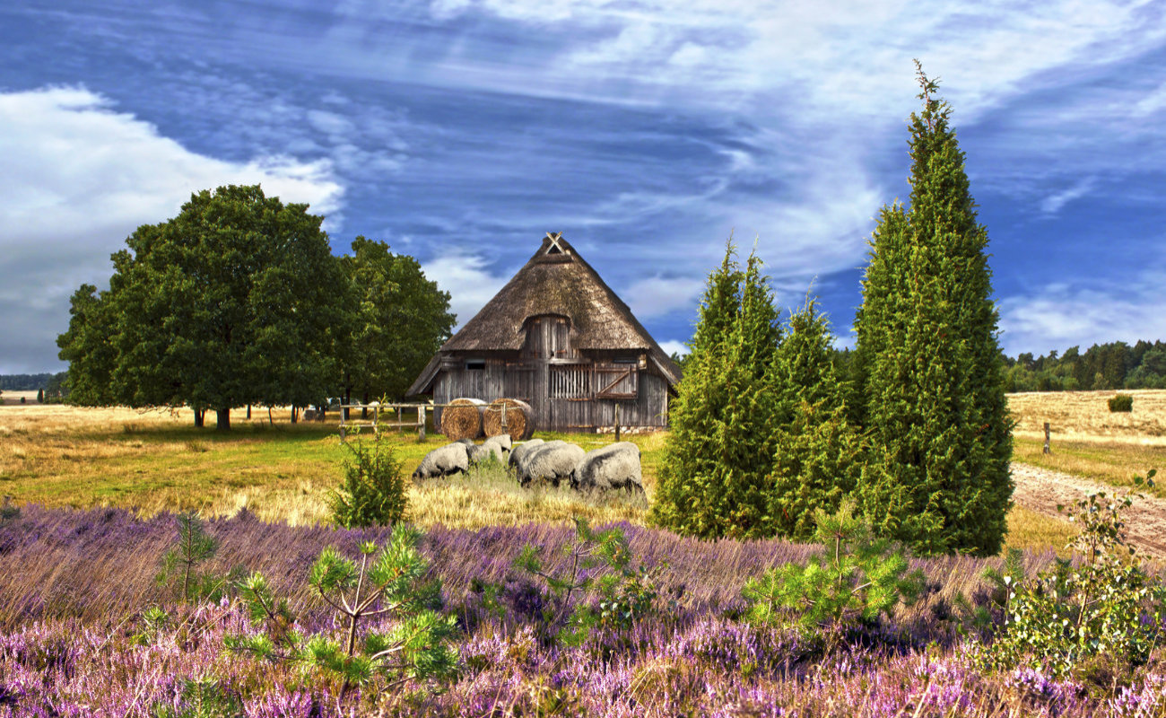 Landschaft der Lüneburger Heide - Fotokurse in Darmstadt